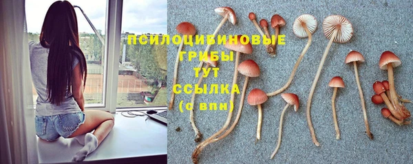 марки nbome Алзамай