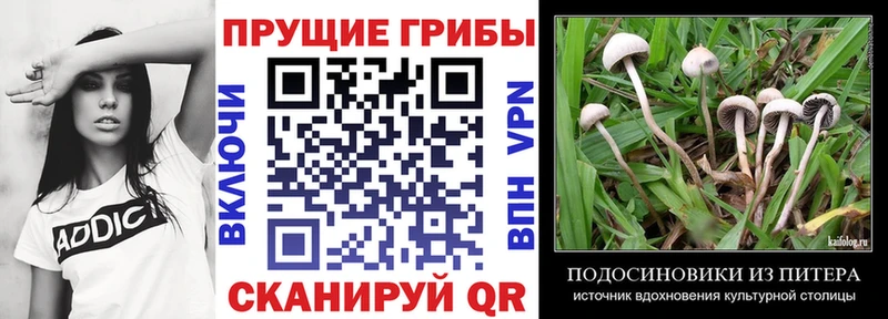 Псилоцибиновые грибы прущие грибы  Оса 
