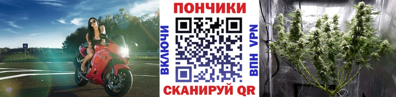 закладки  Оса  blacksprut маркетплейс  Каннабис MAZAR 